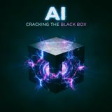 AI: Cracking the Black Box