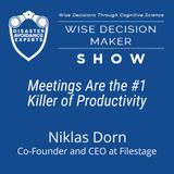 #238: Meetings Are the #1 Killer of Productivity: Niklas Dorn, Co-Founder and CEO at Filestage