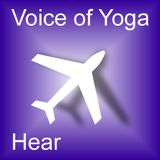 We Are All Airline Pilots