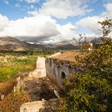 In Sicilia nasce la prima "foresta commestibile" che salva terra, diritti e biodiversità