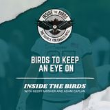 ITB: Which Eagles Have Most At Stake In Preseason Opener?