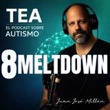 8 - MeltDown