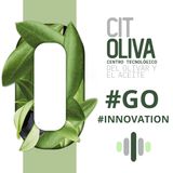 Cooperalive, Predic I y Nutrisan: resultados que transforman el futuro sostenible del olivar