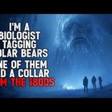"I’m a Wildlife Biologist Tagging Polar Bears. One of Them Has a Collar From the 1800s" Creepypasta