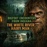 A Childhood Face-to-Face Bigfoot Encounter in Indiana | The White River Beast