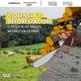 Violencia y deforestación: el riesgo de los parques naturales en Colombia