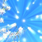 ✨ Meditazione per respirare il Prana - 2a versione