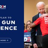 Biden's Gun Control Order - Can It Work?