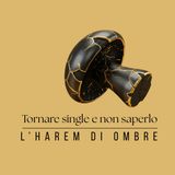 L'harem delle ombre - Episodio 4