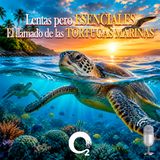 NUESTRO OXÍGENO Lentas pero esenciales - El llamado de las tortugas marinas
