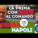Ecco il GENOA di SUCU: col NAPOLI sfida di fascino e gran difficoltà. Come la giocano VIEIRA e CONTE