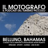 Belluno, Bahamas - Il masso con le impronte di dinosauri del Monte Pelmetto (BL)