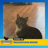 Episode 320: Mischevious Moose