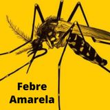 Podcast - Febre Amarela