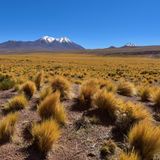 Cile: viaggio attraverso paesaggi estremi e culture millenarie