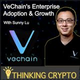Sunny Lu VeChain CEO Interview - VET, VeThor, Proof of Authority 2 0, Salesforce Partnership