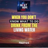 When You Don’t Know What to Do: Drink From The Living Water