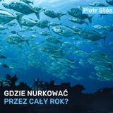 Gdzie nurkować przez cały rok? - Piotr Stós