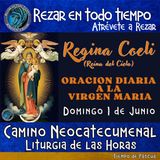 REGINA COELI (REINA DEL CIELO) DE HOY, DOMINGO 1 DE JUNIO 2025 ORACION A NUESTRA MADRE 🌹LA VIRGEN MARIA 🙏. 