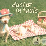 Immagine di copertina di 'Ducj In taule !'