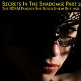 Secrets in the Shadows - Part 2: An Erotic Tale of BDSM Games