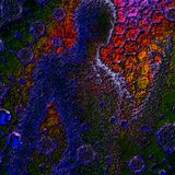 Biomatrixgenesis: Weaving the Divine into our Molecular Fabric
