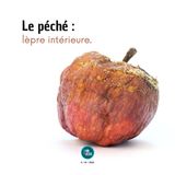 La joie d’une âme purifiée (09-01-2026)