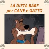 8_La diet BARF per cane e gatto
