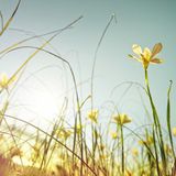 Cos'è l'equinozio di primavera e perché nel 2025 arriva il 20 marzo?