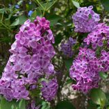 Earth Day Encouragement