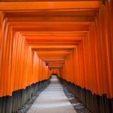 Building Trust for Enterprise AI Leadership