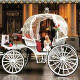 Experience a Fairytale Wedding with Central Park's Horse and Carriage Rental