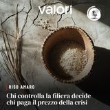 Riso amaro: chi controlla la filiera decide chi paga il prezzo della crisi