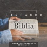 037. Génesis - Parte 37