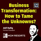 Business Transformation: How to Tame the Unknowns?