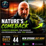 Forests Reborn The Massive Environmental Win You Missed!