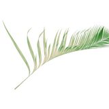 2026-03-29 Pay Attention (Fifth Sunday in Lent)