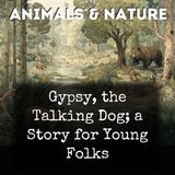 023 - Cuffy Bear Grows Sleepy