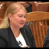 Todd Mullis Trial: Deputy Travis Hemesath's Crucial Testimony | True Crime Documentary