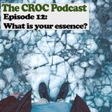EP12: Break Down The Wall Module - What is your Essence?