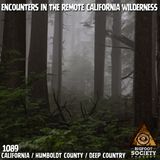 He Lived 25 Years in Bigfoot Territory… Then It Came Into His House!