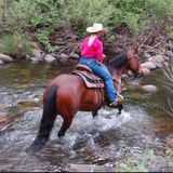 Big Blend Radio: Christy Wood - Trail Rides in California's Sequoia Country