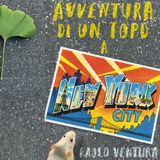 AVVENTURA DI UN TOPO A NEW YORK - di Paolo Ventura