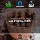 NUESTRO OXÍGENO La importancia de un jardín para polinizadores