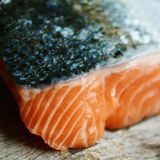 Ecología para todos: El salmón, comida y aventuras