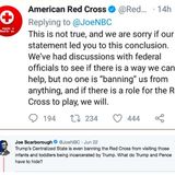 MSNBC personality mistakenly stated that Trump had “banned” the Red Cross from visiting children separated from illegal