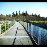 Swan Lake Nature Walk