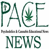 Psychedelics & Cannabis Educational News - Nov 30, 2023 with Rev Cindy & Al
