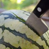 The 1st degree melon stabbing