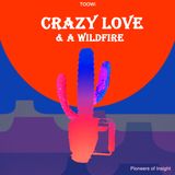 06 - Crazy Love and A Wildfire